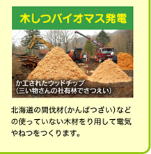 木しつバイオマス発電 北海道の間伐材（かんばつざい）などの使っていない木材をり用して電気やねつをつくります。
